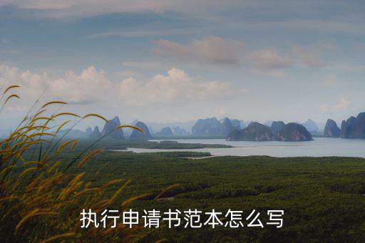 執(zhí)行申請書范本怎么寫