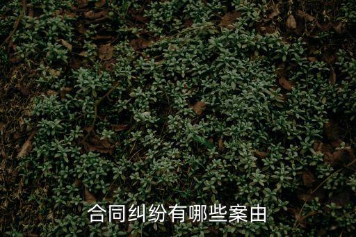 合同糾紛有哪些案由