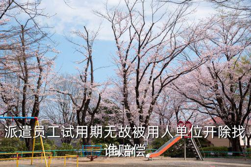 派遣員工試用期無(wú)故被用人單位開(kāi)除找誰(shuí)賠償
