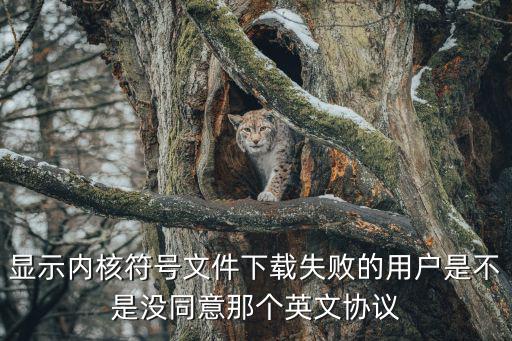 顯示內(nèi)核符號(hào)文件下載失敗的用戶是不是沒同意那個(gè)英文協(xié)議