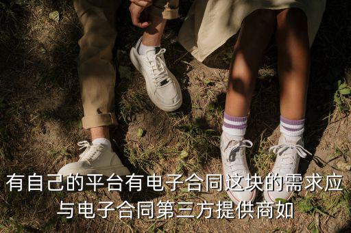 第三方電子合同平臺(tái)官網(wǎng)，目前有哪些第三方電子合同服務(wù)平臺(tái)