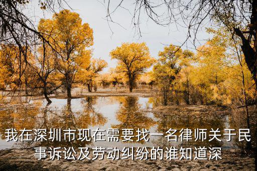 我在深圳市現(xiàn)在需要找一名律師關于民事訴訟及勞動糾紛的誰知道深