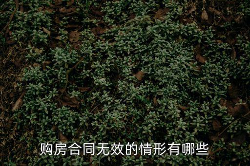 購(gòu)房合同無(wú)效的情形有哪些