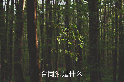 合同法是什么