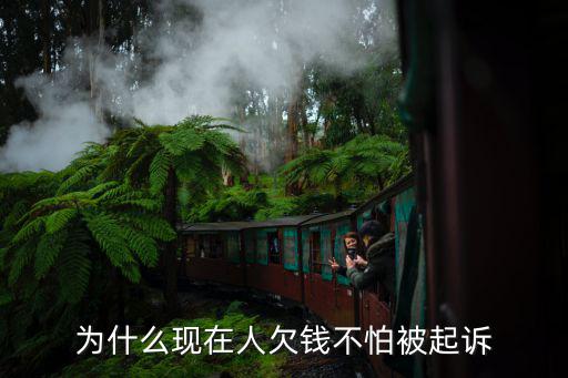 為什么現(xiàn)在人欠錢不怕被起訴