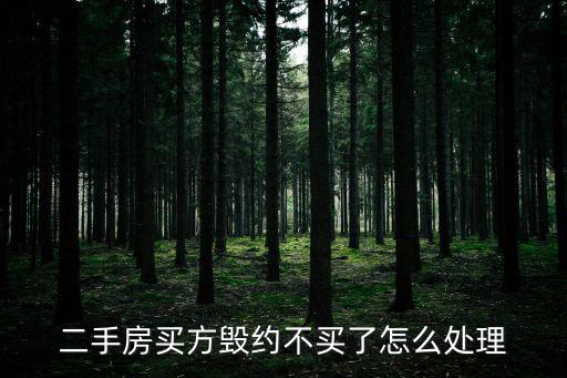 二手房買方毀約不買了怎么處理