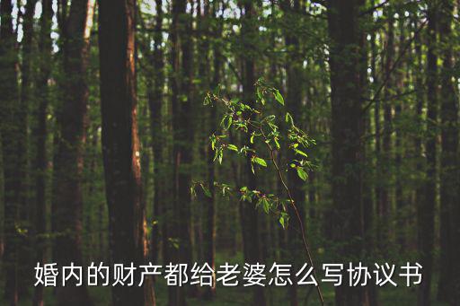 夫妻婚內(nèi)財產(chǎn)約定協(xié)議書，婚后夫妻財產(chǎn)約定協(xié)議怎么寫