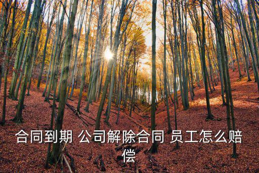 合同到期 公司解除合同 員工怎么賠償