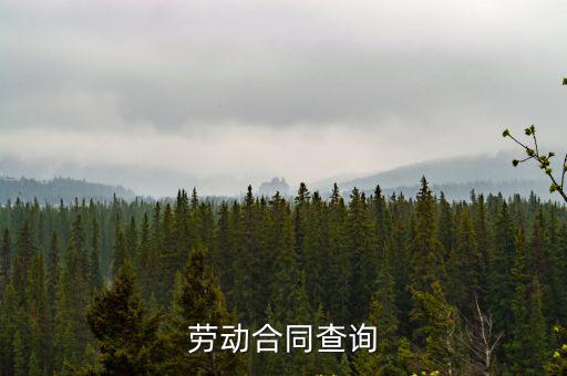 勞動(dòng)合同查詢