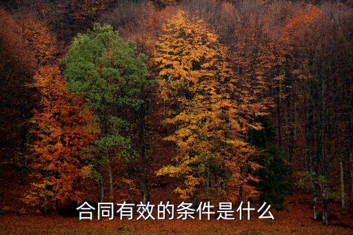 合同生效的條件三要素，合同的生效要件有哪些