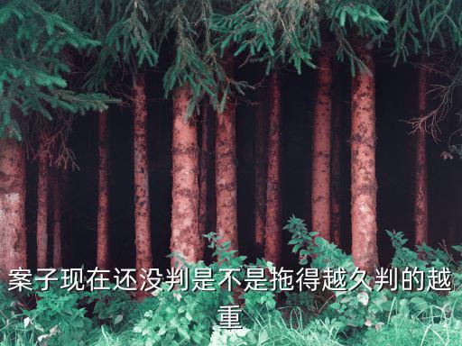 案子拖得越久說(shuō)明什么，案子越拖的久 律師費(fèi)就越多嗎