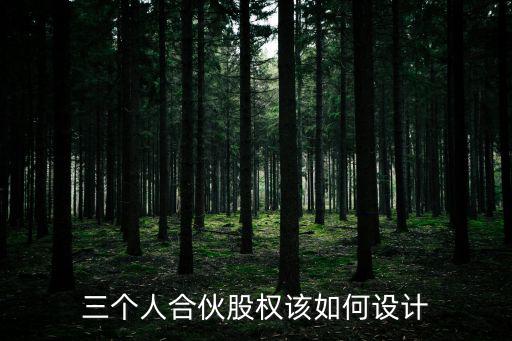 小微企業(yè)合伙人股權(quán)設(shè)計，小公司股權(quán)設(shè)計服務(wù)機構(gòu)哪里有