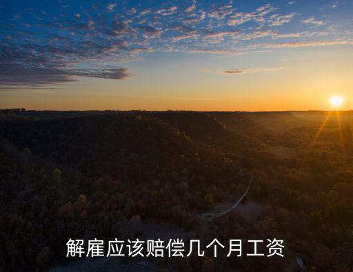 解雇應(yīng)該賠償幾個月工資