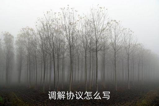 調(diào)解協(xié)議怎么寫