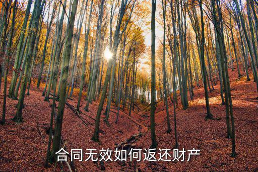 合同無效如何返還財產(chǎn)