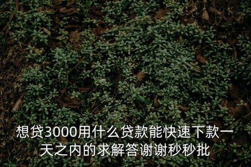 想貸3000用什么貸款能快速下款一天之內(nèi)的求解答謝謝秒秒批