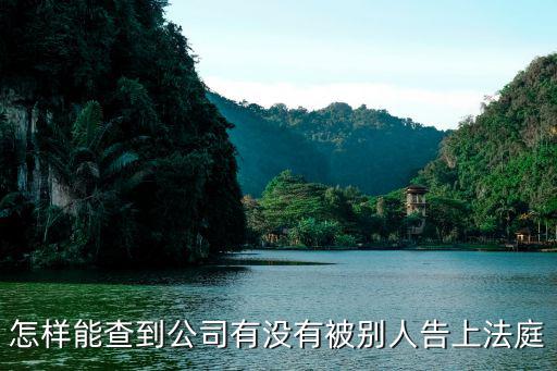 怎樣能查到公司有沒有被別人告上法庭