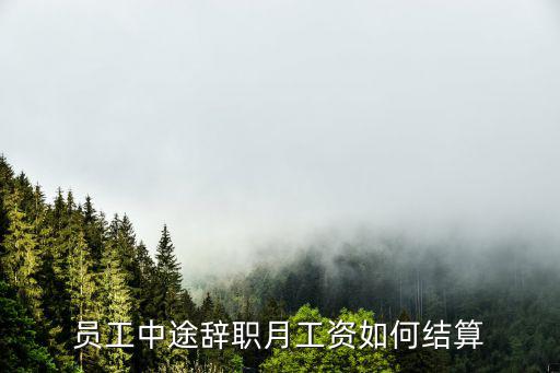 員工自己不干了發(fā)工資，員工自己離職工資怎么發(fā)麻煩告訴我