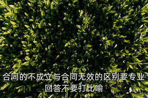 合同的不成立與合同無效的區(qū)別要專業(yè)回答不要打比喻