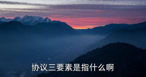 協(xié)議三要素是指什么啊