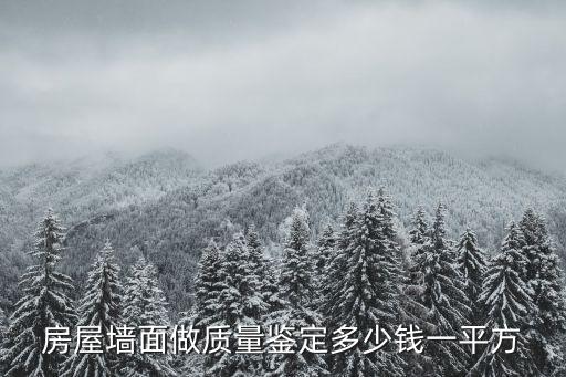 房屋墻面做質(zhì)量鑒定多少錢一平方
