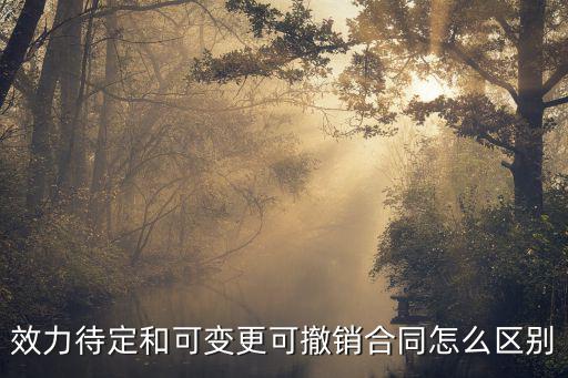 效力待定的合同成立了嗎，效力待定的合同生效嗎