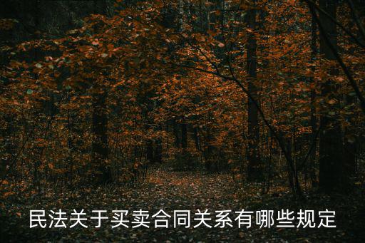 民法關(guān)于買賣合同關(guān)系有哪些規(guī)定
