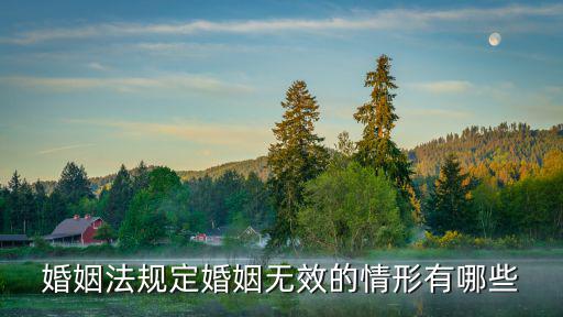 婚姻法規(guī)定婚姻無效的情形有哪些