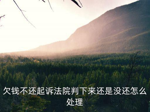 起訴到法院沒錢還怎么辦，我欠錢被告到法院我沒錢給他我該怎么辦