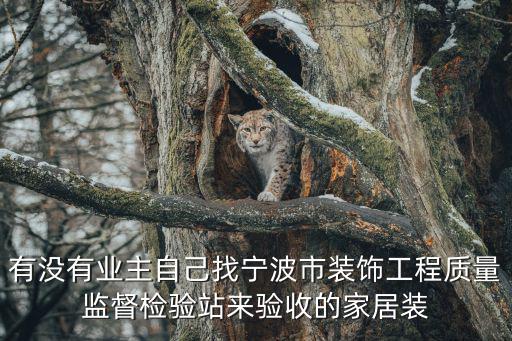 家裝第三方質(zhì)檢公司，有沒(méi)有業(yè)主自己找寧波市裝飾工程質(zhì)量監(jiān)督檢驗(yàn)站來(lái)驗(yàn)收的家居裝