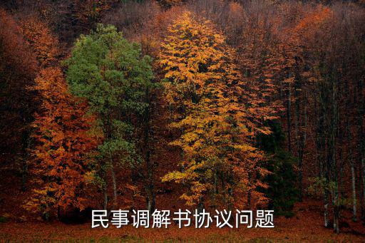 民事訴訟法調(diào)解協(xié)議書，調(diào)解協(xié)議書怎么寫