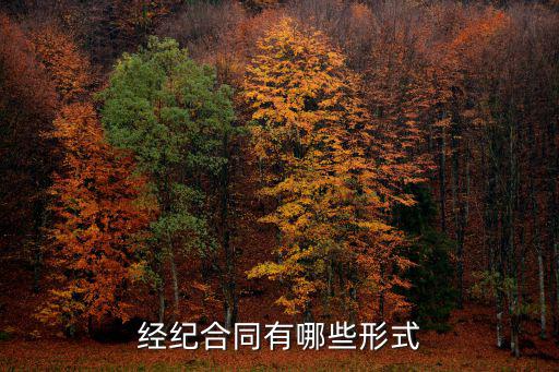 委托合同的法律特征，委托合同的標的