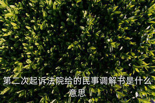 民事糾紛調(diào)解書，關(guān)于民事調(diào)解書