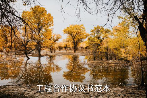 工程合作協(xié)議書范本