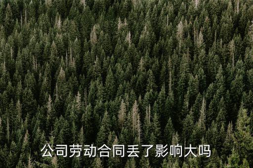 公司勞動合同丟了影響大嗎