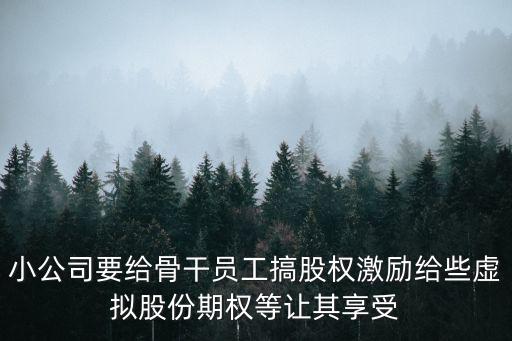 小公司要給骨干員工搞股權(quán)激勵給些虛擬股份期權(quán)等讓其享受