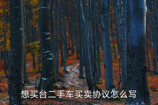 二手車買賣合同協(xié)議書模板怎么寫，二手車買賣合同范本