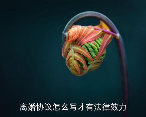 離婚協(xié)議怎么寫才有法律效力