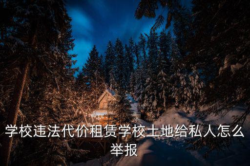 學(xué)校違法代價(jià)租賃學(xué)校土地給私人怎么舉報(bào)