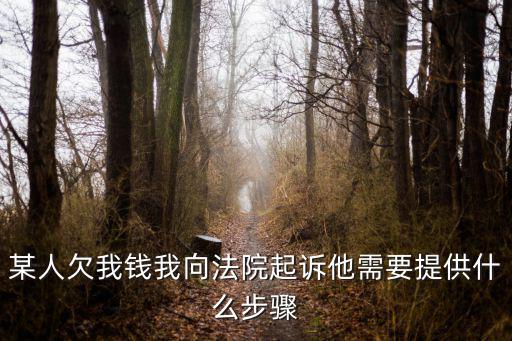 某人欠我錢我向法院起訴他需要提供什么步驟