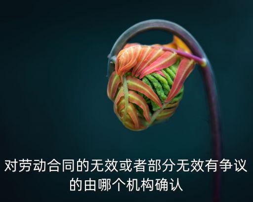 合同的效力由誰(shuí)確認(rèn)，勞動(dòng)合同的效力由誰(shuí)來(lái)確認(rèn)