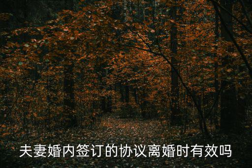 夫妻婚內(nèi)簽訂的協(xié)議離婚時(shí)有效嗎