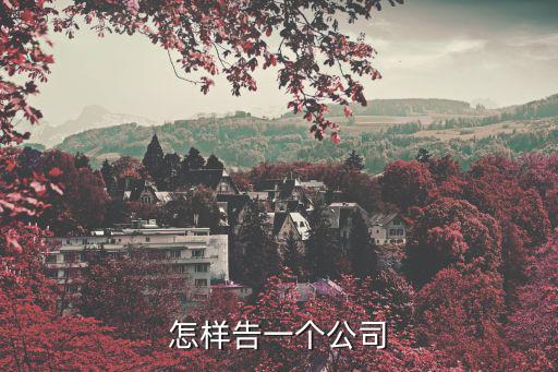 怎樣告一個公司