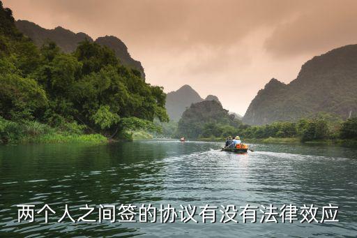 兩個(gè)人之間簽的協(xié)議有沒有法律效應(yīng)