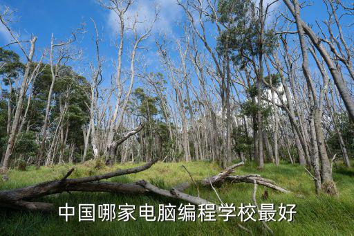 中國哪家電腦編程學(xué)校最好