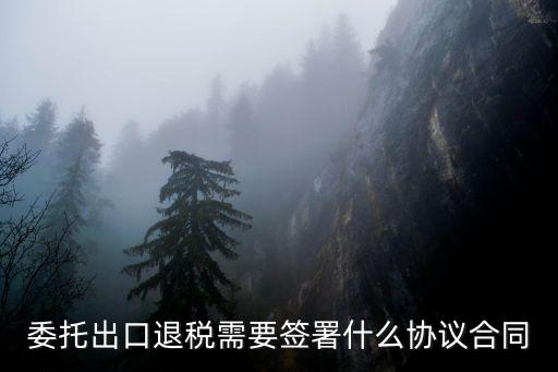委托代理出口合同協(xié)議書范本，翻譯 出口代理協(xié)議書 中文翻譯成英文