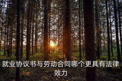 就業(yè)協議書與勞動合同哪個更具有法律效力