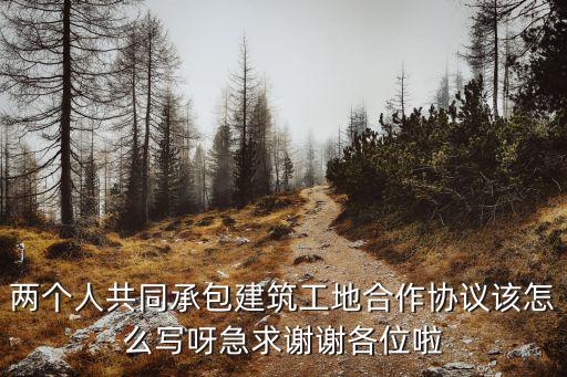 兩個人共同承包建筑工地合作協(xié)議該怎么寫呀急求謝謝各位啦