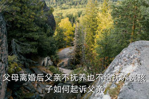離婚了不給撫養(yǎng)費(fèi)怎么起訴，父母離婚后父親不撫養(yǎng)也不給撫養(yǎng)費(fèi)孩子如何起訴父親
