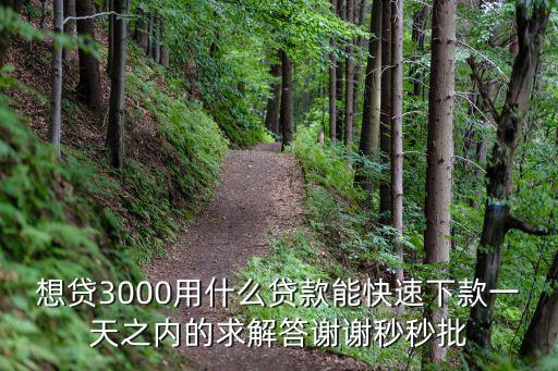借款3000馬上到賬的，我想貸3000塊錢的款還要很快下款的有沒有